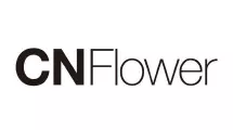 cnflower