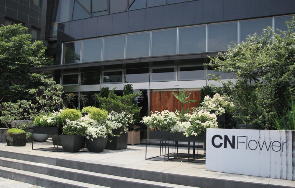 CN Flower | Floral art and personnel are integrated into life, creating a comprehensive life aesthetic management.